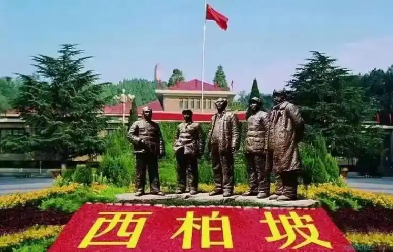 QQ20250318-145211.png