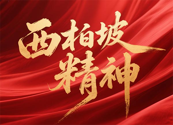 西柏坡干部学院,西柏坡红色教育培训